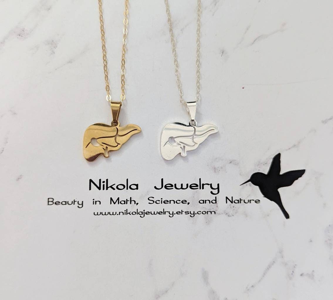 Liver Necklace in Gold or Silver Liver Disease Necklace