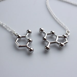 DNA Base Pair Molecule Necklace, Friendship Necklace Pair, Love Necklace Pair, DNA Keychain, Sterling Silver or Gold Filled Chain.