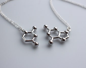 DNA Base Pair Necklace Set: Sterling Silver or Gold Filled Chain