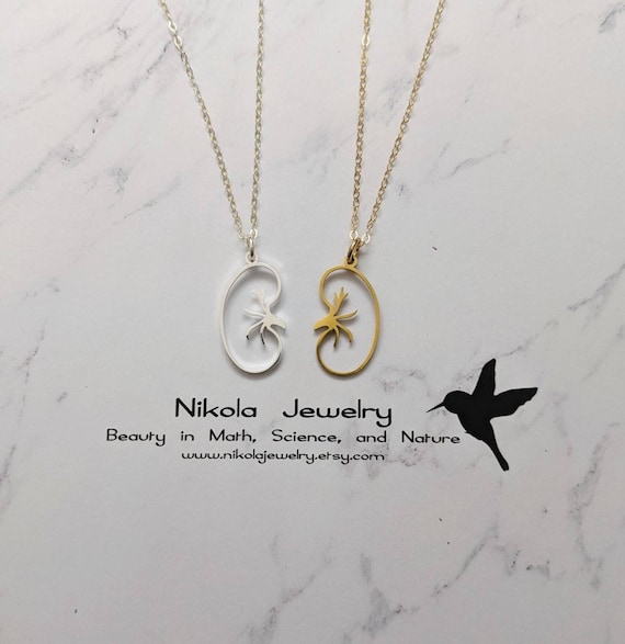 Kidney Necklace in Gold or Silver Kidney Transplant Pendant Urologist Necklace Nephrologist Doctor Kidney Diseases Human Organ Etsy