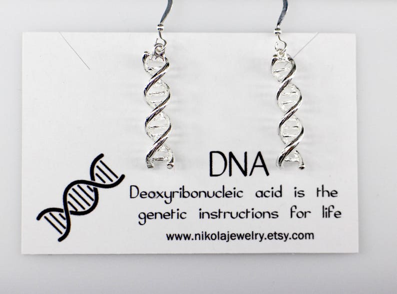 Silver or Gold DNA Earrings, Sterling Silver Science Jewelry, 3D DNA Double Helix, Dangle Earrings, Biology Science Themed Jewelry, Gold DNA image 2