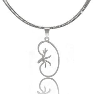 Kidney Necklace in Gold or Silver, Kidney Transplant Pendant, Urologist Necklace, Nephrologist Doctor, Kidney diseases, Human Organ