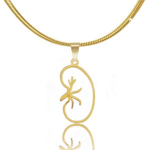 Kidney Necklace in Gold or Silver, Kidney Transplant Pendant, Urologist Necklace, Nephrologist Doctor, Kidney diseases, Human Organ