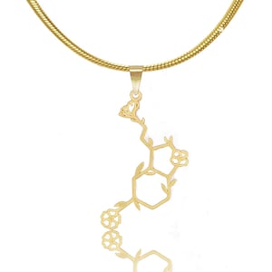 Floral Serotonin Molecule Necklace in Silver or Gold, Chemistry Necklace, Hormone Serotonin, Biochemistry Happiness, Flower Serotonin