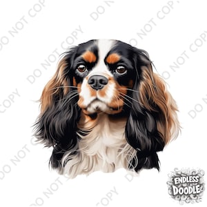 May include: A close-up portrait of a Cavalier King Charles Spaniel dog. The dog has long, flowing black, brown, and white fur. The dog is looking directly at the viewer with a sweet expression.