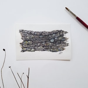 Studio sulla corteccia dell'albero 1 / 4"x6" senza cornice originale pittura mista / alberi, corteccia, lichene, muschio, natura, piccolo, acquerello, guazzo, inchiostro