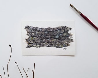 Trädbarkstudie 1 | 10x15 cm oramad original akvarell + blandteknik