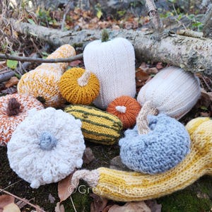 KNITTING PATTERN Autumn Gourds | Digital Printable Pattern, PDF, Knitting Pattern