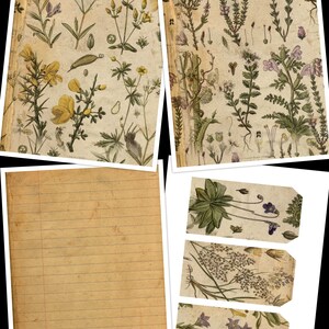 Vintage botanical Junk Journal