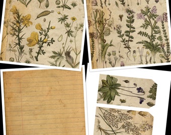 May include: A collection of vintage botanical illustrations featuring various plants and flowers. The illustrations are printed on a textured, aged paper background. The images are perfect for scrapbooking, card making, or other craft projects.