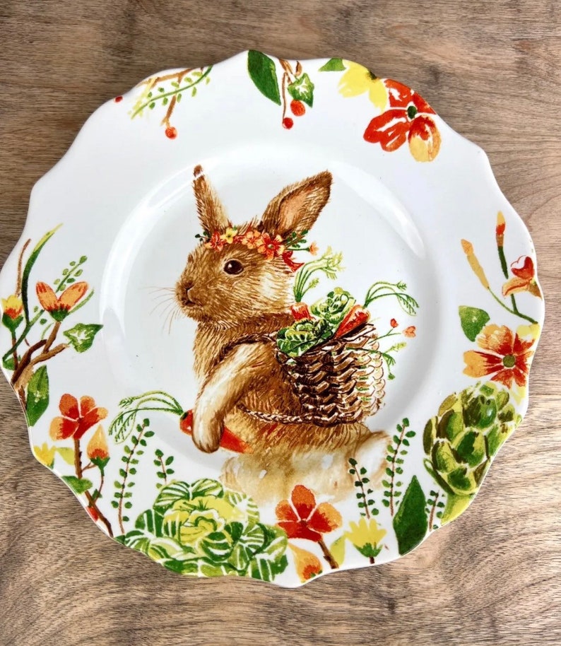 Pier 1 Imports Lilly Bunny Rabbit Porcelain 8.5 Plate Etsy