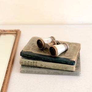 Antique French Opera Glasses / Mother of Pearl Opera Glasses / Vintage French Binoculars / Theater Glasses