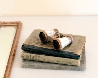 Antique French Opera Glasses / Mother of Pearl Opera Glasses / Vintage French Binoculars / Theater Glasses