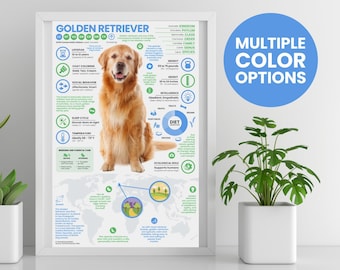 Golden Retriever Kissenbezüge 71x71cm - 2er Set Aus Samt Für Wohnzimmer Deko