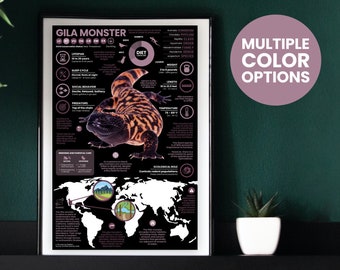 Gila Monster Poster | Reptil Infografik | Erhaltungspädagogik (28 cm x 43 cm)