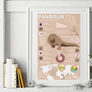 Impresión de pangolín terrestre / Póster infográfico de animales exóticos con obra de arte digital original (28 x 43 cm)