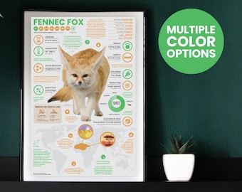 Poster van een fennekvos | Infografiek over wilde dieren | Natuurbeschermingseducatie (28 x 43 cm)