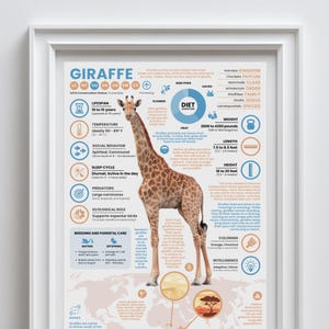 Giraffe Poster | 11" x 17" Animal Infographic Print image 2