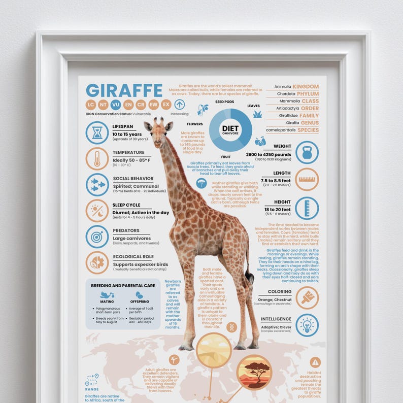 Giraffe Poster | 11" x 17" Animal Infographic Print image 2