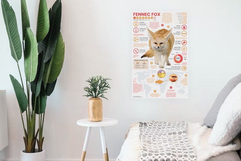 May include: A colorful educational poster about the Fennec Fox, a small desert fox with large ears. The poster includes facts about the Fennec Fox's diet, habitat, and physical characteristics. The poster also includes a map showing the Fennec Fox's geographic range.