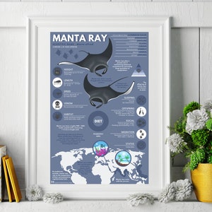 Manta Ray Print | Exotic Animal Infographic Poster Ft. Original Digital