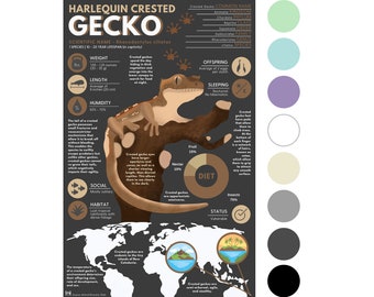 Harlequin Crested Gecko Print | Exotic Animal Infographic Poster ft. Original Digital Artwork [11&quot; x 17&quot;]