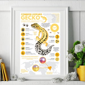 Common Leopard Gecko Print | Exotic Animal Infographic Poster Ft ...