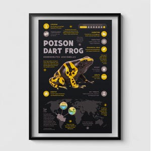 Può includere: Un poster incorniciato con uno sfondo nero, raffigurante una rana freccia velenosa, Dendrobates Leucomelas, con segni gialli. Il poster fornisce dettagli sulla durata della vita, l'habitat e le minacce della rana. La lunghezza della rana è di 4-5 cm.
