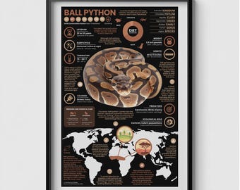 Ball Python Poster |  11&quot; x 17&quot; Animal Infographic Print