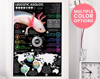 Leucistic Axolotl Poster | Wildlife Animal Infographic Print | Conservation Education (11&quot; x 17&quot;)