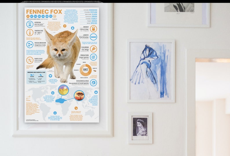 May include: A colorful infographic poster about the Fennec Fox, a small desert fox with large ears. The poster includes information about the fox's physical characteristics, habitat, diet, and ecological role. The poster also includes a map showing the fox's geographic range.