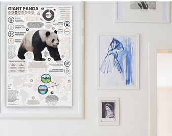 PANDAページ il_340x270.4045497921_px7p.jpg