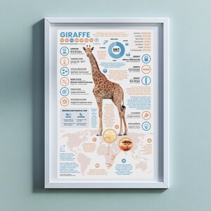 Giraffe Poster | 11" x 17" Animal Infographic Print image 6