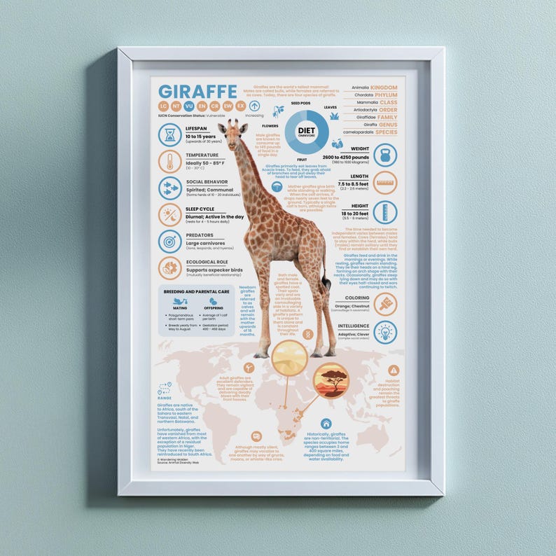 Giraffe Poster | 11" x 17" Animal Infographic Print image 6