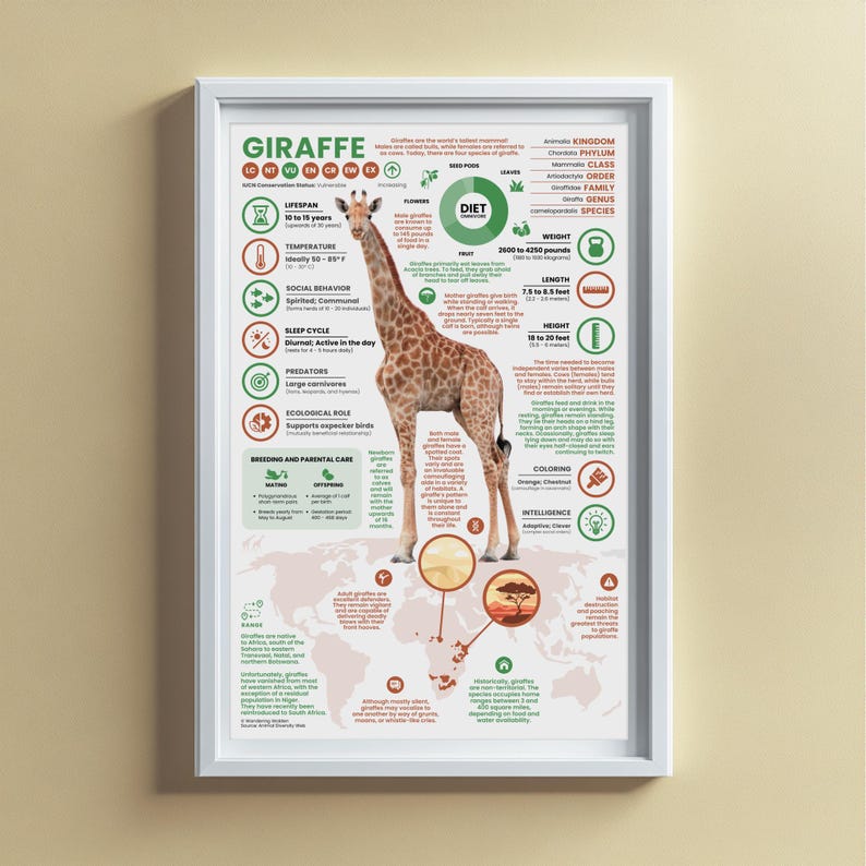 Giraffe Poster | 11" x 17" Animal Infographic Print image 5