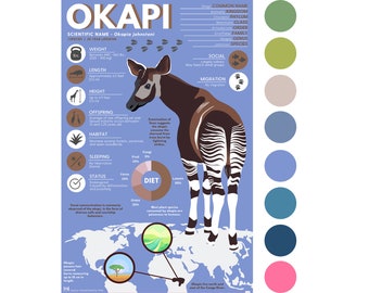 Okapi Print | Exotic Animal Infographic Poster ft. Original Digital Artwork [11" x 17"]