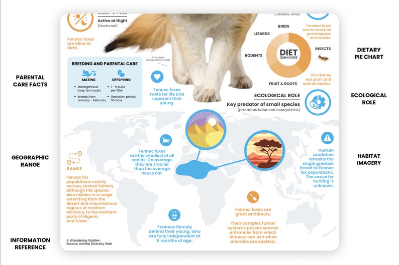 May include: An infographic about the Fennec fox, a small desert fox with large ears. The infographic includes information about its diet, habitat, breeding, and ecological role. The infographic also includes a map showing the geographic range of the Fennec fox.