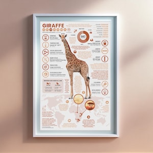 Póster de jirafa / Impresión infográfica de animales de 28 x 43 cm