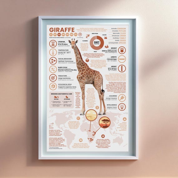 Giraffe Poster |  11" x 17" Animal Infographic Print