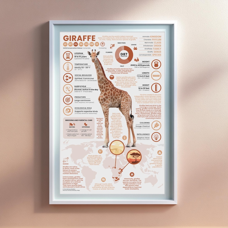 Giraffe Poster | 11" x 17" Animal Infographic Print image 1