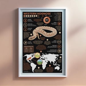 Western Hognose Poster |  11&quot; x 17&quot; Animal Infographic Print