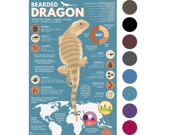 Bearded Dragon Print | Animal Infographic Poster ft. Original Digital Artwork | Modern Educational Poster (11&quot; x 17&quot;)