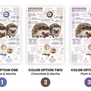 May include: Three different color options for a printable infographic poster about hedgehogs. The poster features a world map, a close-up of two hedgehogs, and text about their diet, habitat, and other facts. The color options are steel blue and mocha, chocolate and mocha, and plum and pink.