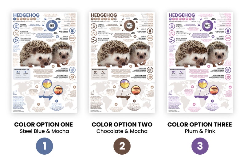 May include: Three different color options for a printable infographic poster about hedgehogs. The poster features a world map, a close-up of two hedgehogs, and text about their diet, habitat, and other facts. The color options are steel blue and mocha, chocolate and mocha, and plum and pink.
