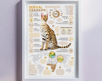 Serval Poster |  11" x 17" Animal Infographic Print