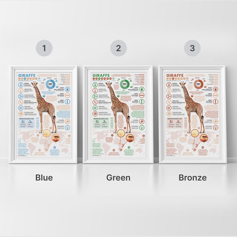 Giraffe Poster | 11" x 17" Animal Infographic Print image 4