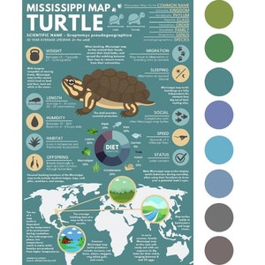 Mississippi Map Schildkröte Poster | Tiererziehung Infografik | 8 Farboptionen - Mehrere Größen, bis zu 36 ""