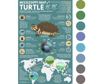 Mississippi Map Turtle Poster | Animal Education Infographic | 8 Color Options - Multiple Sizes, up to 36"