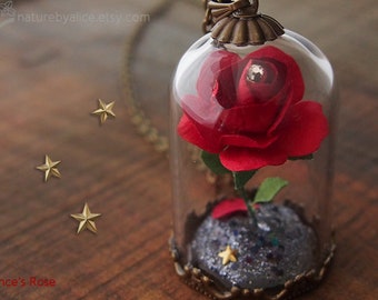 Little prince rose | Etsy