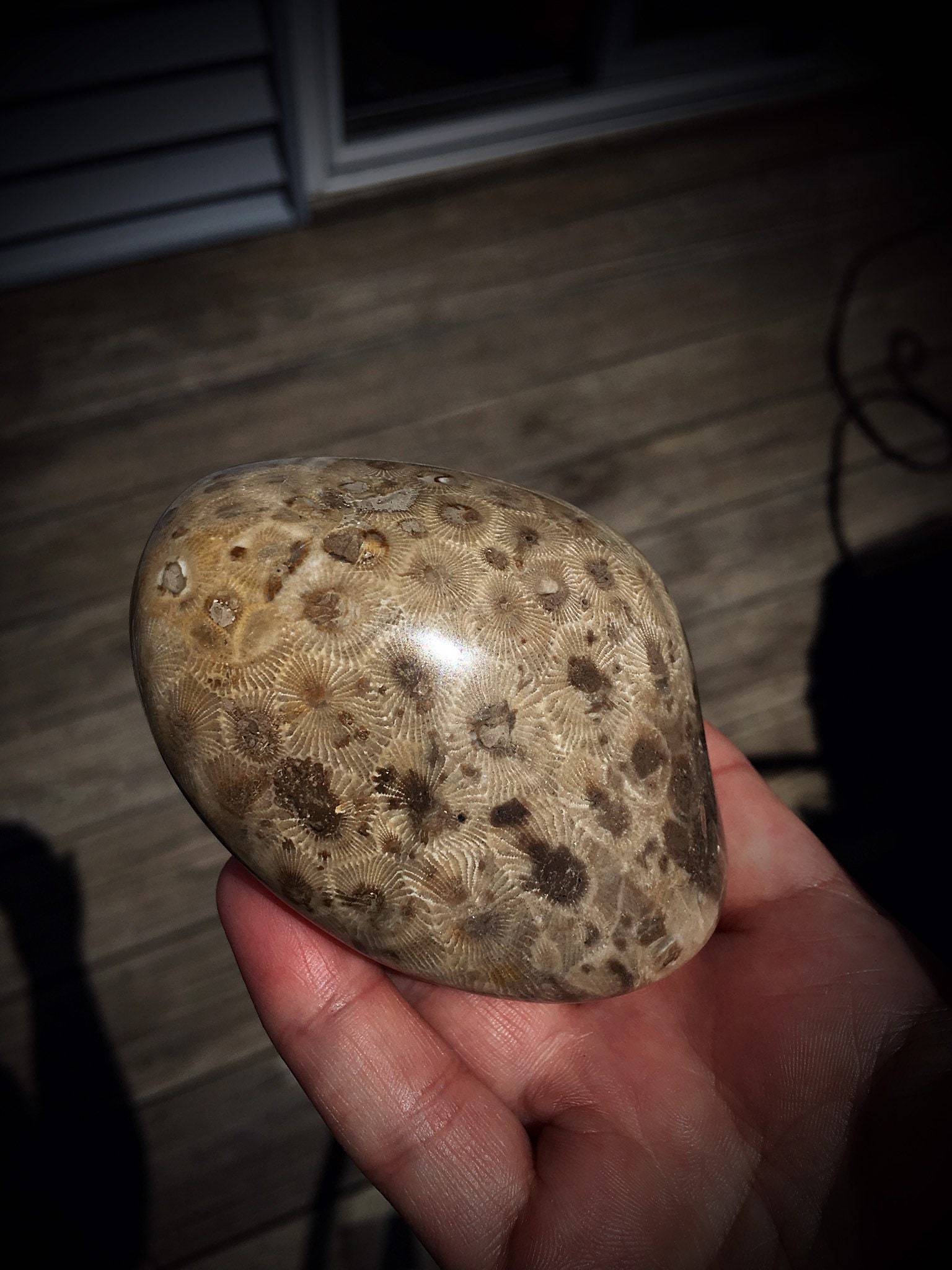 Beautifully Hand Polished Petoskey Stone